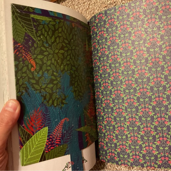 Alice’s Adventures in Wonderland & Through the Looking Glass - Illustrated - Picture 13 of 14